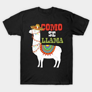 Cinco De Mayo Llama Fiesta Ultimate Party Vibe May 5th T-Shirt